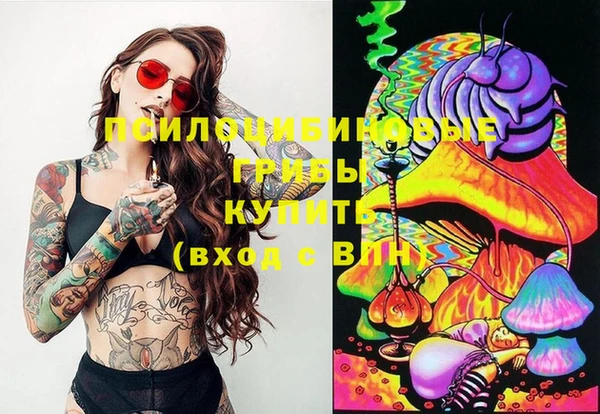 прущие крисы Алзамай