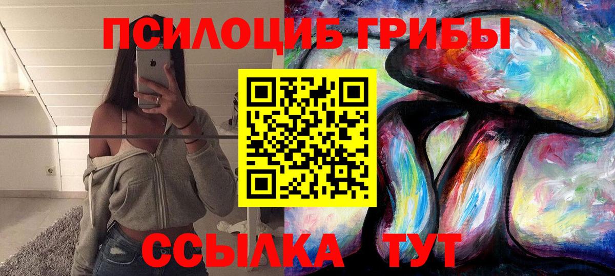 Галлюциногенные грибы Psilocybine cubensis Асино