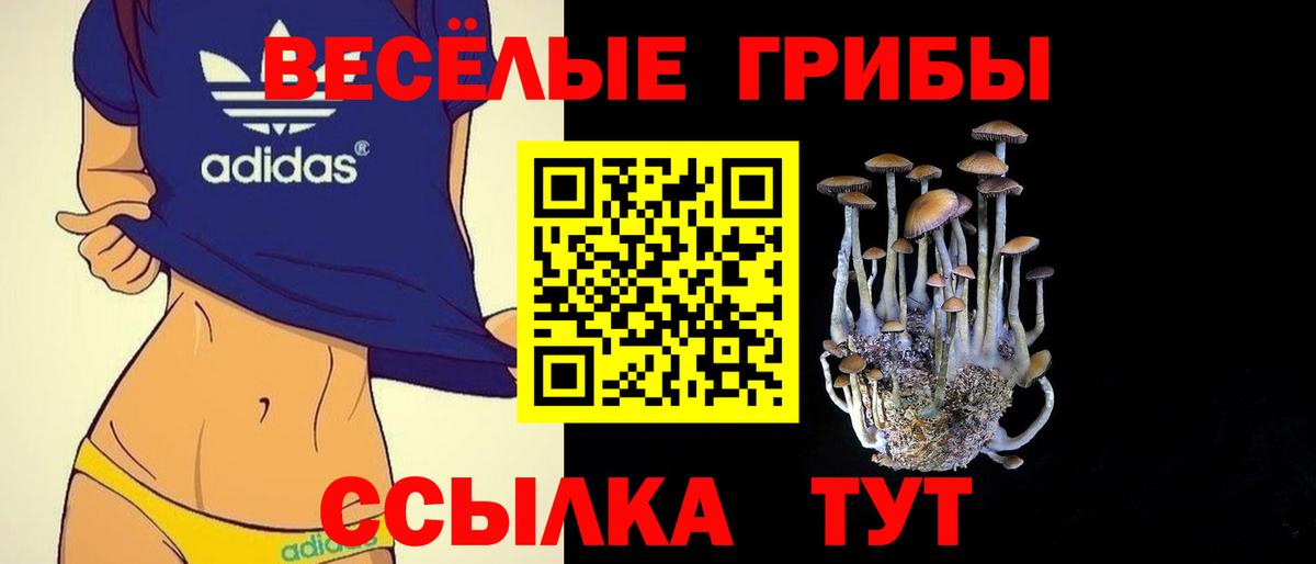 Асино  наркошоп  Вход с VPN  Псилоцибиновые грибы Psilocybine cubensis  Галлюциногенные грибы MAGIC MUSHROOMS 